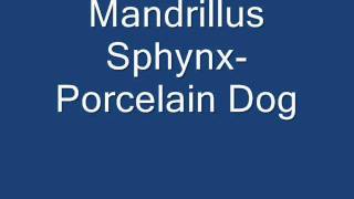 Mandrillus Sphynx-  Porcelain Dog
