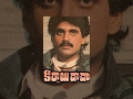 Nagarjuna S Kirayi Dada Telugu Full Movie