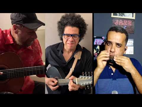 Incompatibilidade de Gênios - Gaita/desafio cantora praya