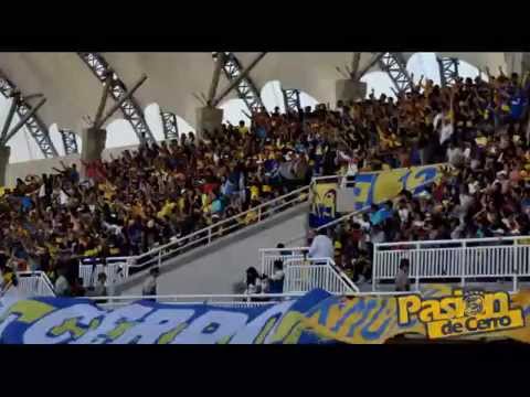 "Aqui esta ya llego la barra del cerro" Barra: Los del Cerro &bull; Club: Everton de Viña del Mar