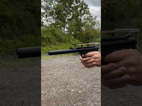 Ruger MK 4 or Taurus TX22