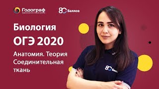 ОГЭ по биологии 2023. Человек и его здоровье. Соединительная ткань. - фото