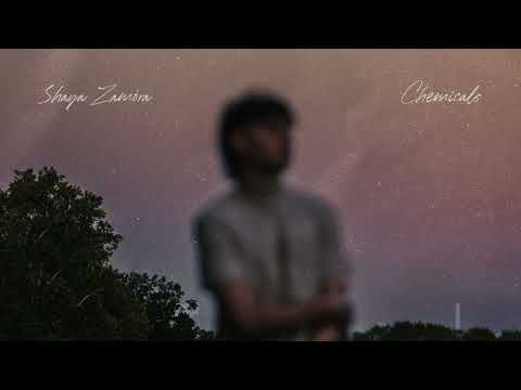 Shaya Zamora - Chemicals [Lyric Video]