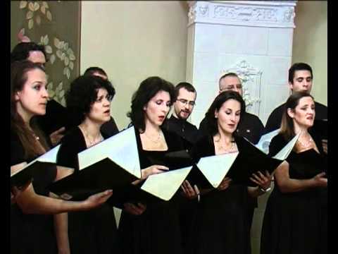 Floare Albastră - Vasile Spătărelu