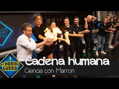 Marron crea una “cadena humana” de fuego producido por burbujas de metano - El Hormiguero