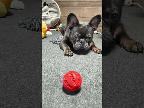 Video 5