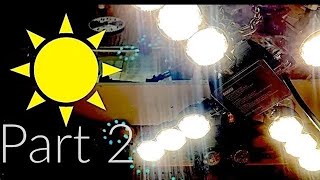Indoor Grow Light Set-Up For Seed Starting! Part 2, RESULTS!