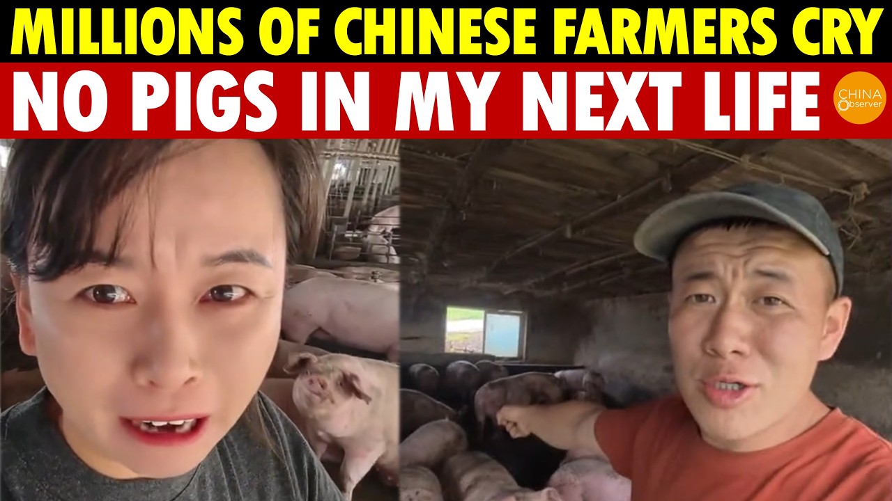 Millions of Chinese Farmers in Tears! Pork and Crab Prices Crash, Feed Soars—No Pigs Next Life!