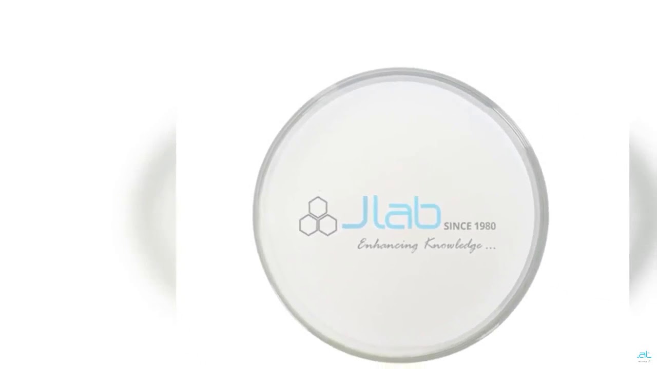 Plano Concave Lenses