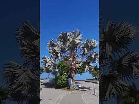 Cielo del Puerto | Mitad de semana