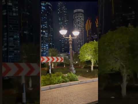 Dubai #funnyvideo #funny #troll
