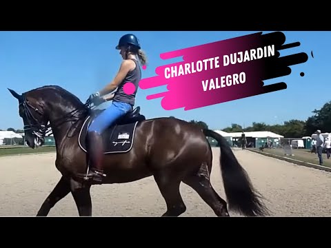 Charlotte Dujardin & Valegro Grand Prix Dressage Warm-Up