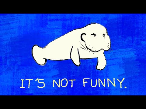Stop Calling Stav a Manatee | CMTOWN ANIMATED