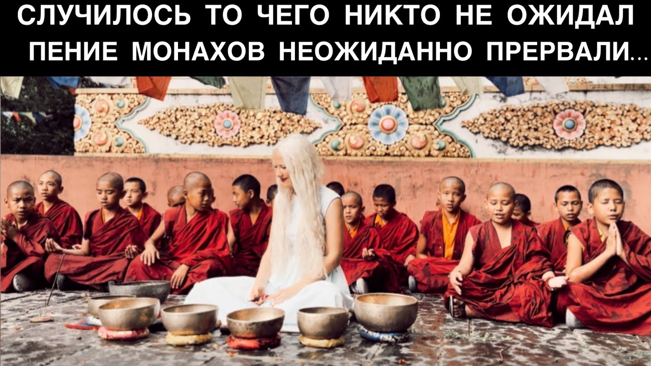 Amrita's Vibrational Art Redefines Sonic Evolution Through Frequency