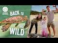 Back To The Wild Sea Turtle Release With Bindi Irwin Chandler Grace