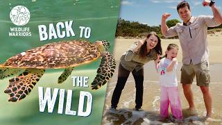 Back to the Wild! | Sea Turtle Release with Bindi Irwin, Chandler & Grace