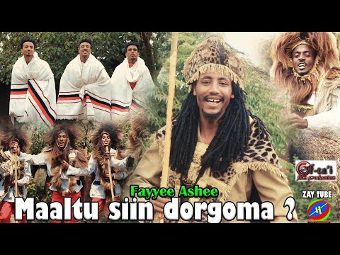 Fayyee Ashee - Maaltu siin dorgoma - New Ethiopian Oromo cultural music - 2022 / 2015 official video