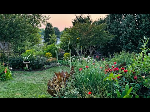 Early-June Cottage Garden Tour