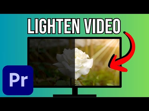 Lighten & Brighten Dark Videos in Premiere Pro | Under 1 Minute 