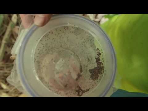 Sussex Mosquito Control