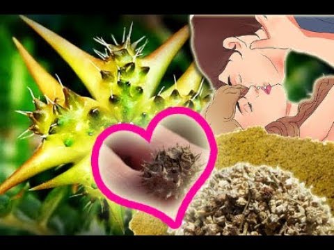 Wasser und Prostatitis Urologie Prostata-Operation