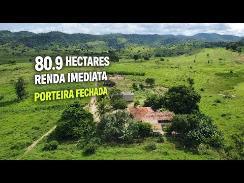 🌿🌾FAZENDA COMPLETA À VENDA EM MG 🐄💰 PORTEIRA FECHADA + RENDA IMEDIATA!