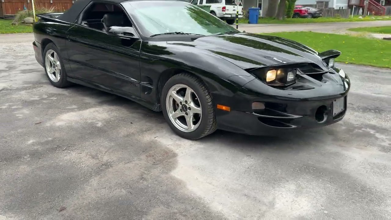 20 Years Owned 1999 Pontiac Firebird Trans Am WS6 Convertible 6-Speed Manual