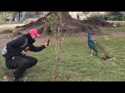 Parque Villa Dolores 