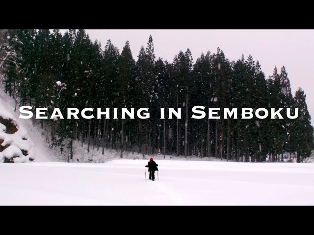 Searching in Semboku
