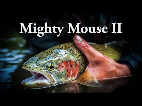Alaska Mouse Fishing - Mighty Mouse II