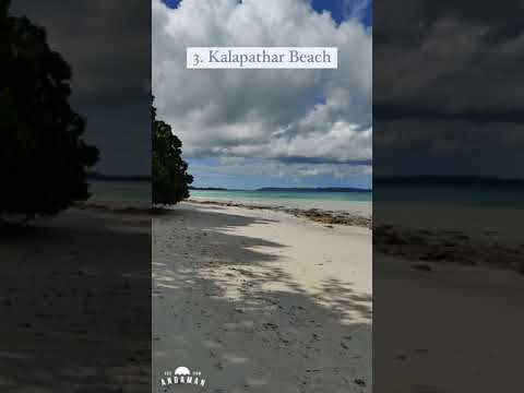 TOP 5 Beaches to Visit on Havelock Island! 🌴