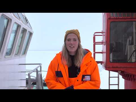 Albedo-Effekt - Erklärung am Beispiel der Arktis