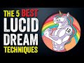 Top 5 Best Lucid Dreaming Techniques (For Beginners)