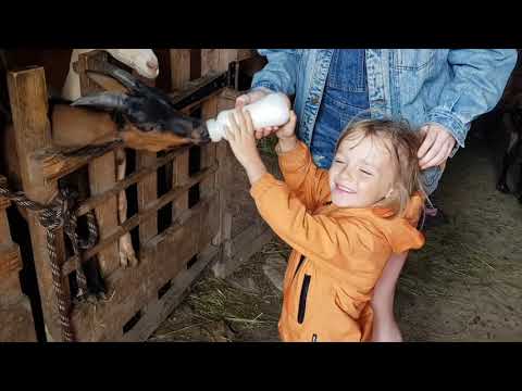 VidÃ©o du sÃ©jour