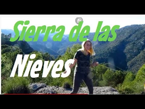 Northern Soul Girl Dancing 16