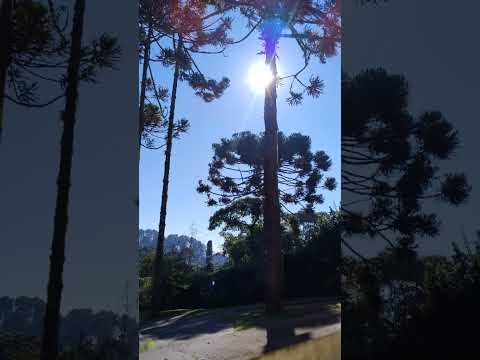 Thumbnail de Pousada no morro do Elefante em Campos do Jordão