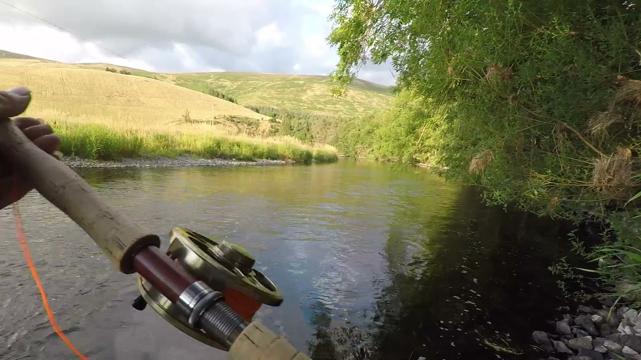 Salmon fishing at Cardrona on the river Tweed 2nd August 2021