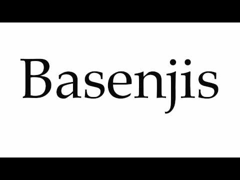How to Pronounce Basenjis
