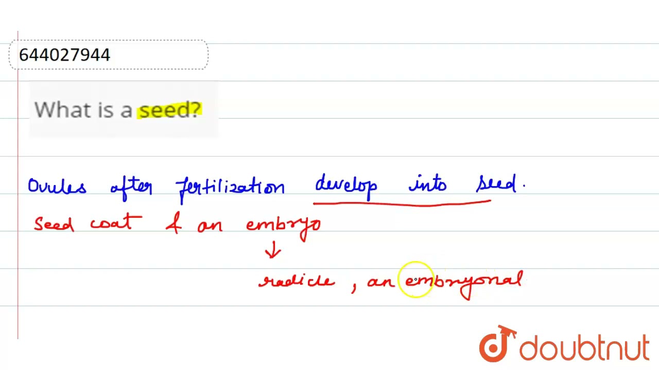 What is a seed?  | 9 | SEEDS - STRUCTURE AND GERMINATION  | BIOLOGY | ICSE | Doubtnut