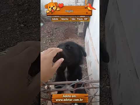 Vídeo de negão