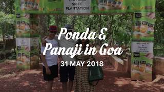 preview picture of video 'Spice Garden Goa Spice Tree Plantation Goa Spice Garden Ponda And Panaji'