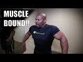 DON'T GET MUSCLE BOUND!! - How to Stretch Muscles for Strength and Size (Bodybuilding)