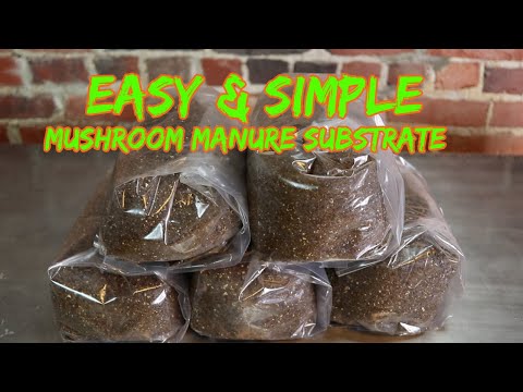 Simple Manure Based Substrate