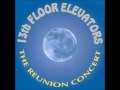 13th Floor Elevators - The Beast