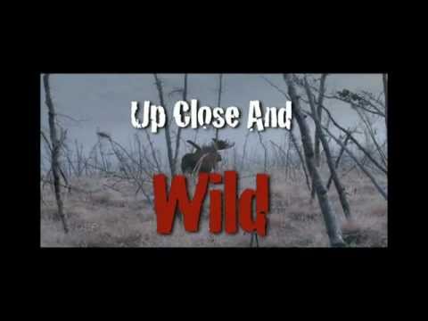 SW9178 Up Close & Wild
