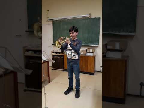 Fésűs Márk videója