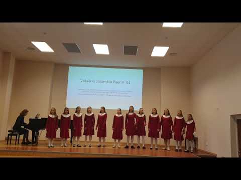 V. Liaudanskaitė "Himnas meilei", 3-4 kl. jaunučių choro "Pueri II" ansamblis