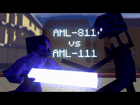 Anomaly 811 vs Anomaly 111 - Minecraft Animation