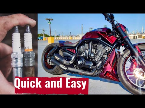 Change spark plugs for Harley Davidson V Rod #vrod #motorcycle #diy #bike #harleydavidson #