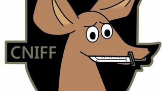 CNIFF Dutch Knife のライブ ストリーム